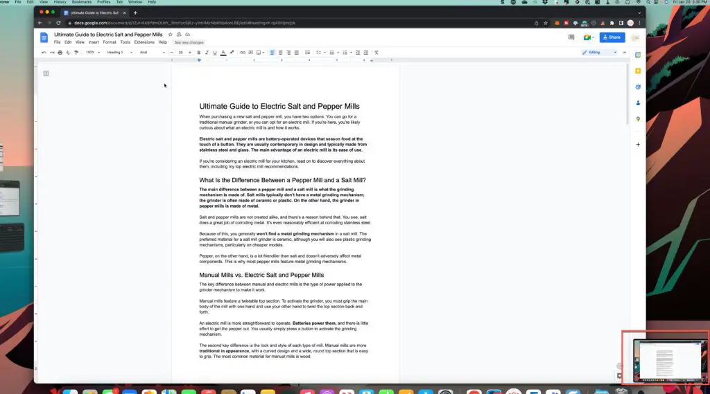 screenshot of Google Docs entire screen