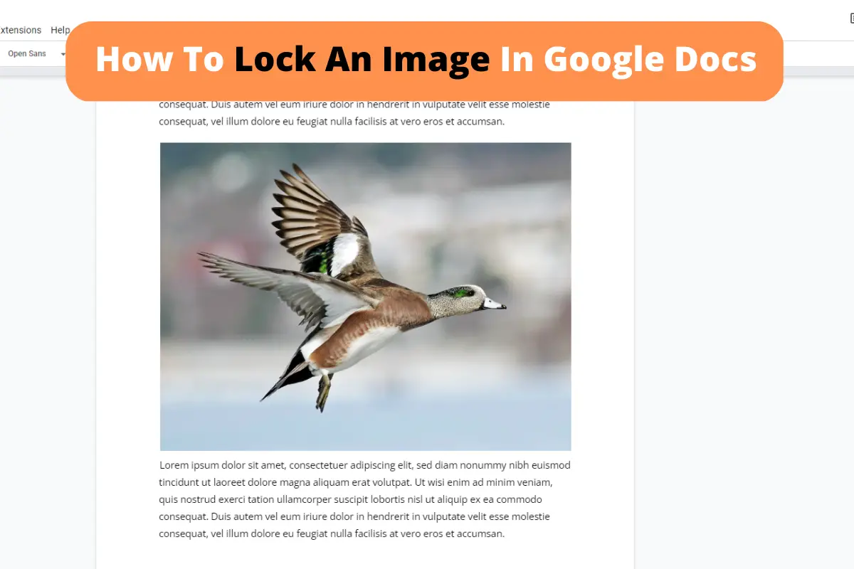 How To Lock An Image In Google Docs