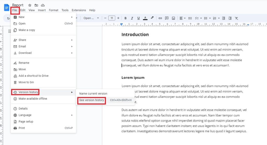 See version history in Google Docs